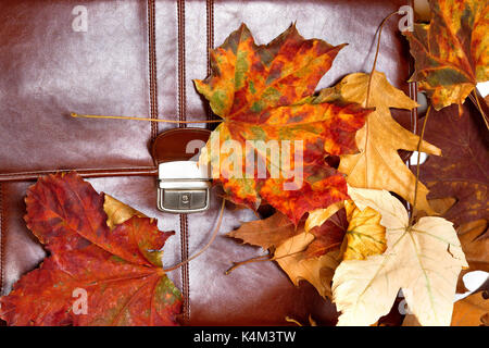 Braunes Leder Aktentasche und Herbst trockene Blätter Stockfoto