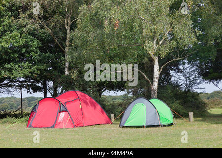 Rote und grüne Camping Zelte unter den Bäumen am Waldrand, an einem sonnigen Sommertag. Stockfoto