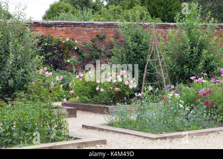 Ferienhaus Garten mit Rosen, bunten süssen Erbsen und andere Blumen, die von einer Backsteinmauer abgedeckt, die durch Violette Clematis und Rosenstock. Stockfoto