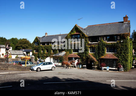 Öffentliche Häuser in Devon Stockfoto