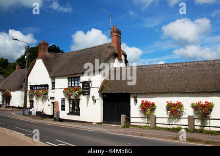 Öffentliche Häuser in Devon Stockfoto