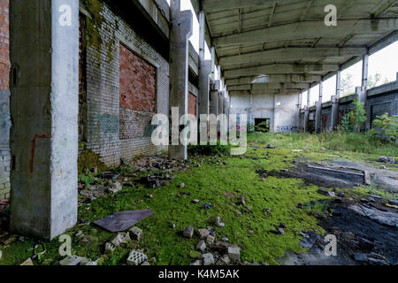 Verlassene Fabrik in grün Moos bedeckt Stockfoto