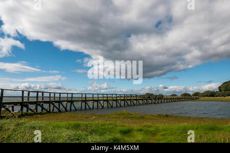 Ein Holzsteg über Wattenmeer bei Flut an Aberlady Bay Local Nature Reserve, East Lothian, Schottland, Großbritannien Stockfoto