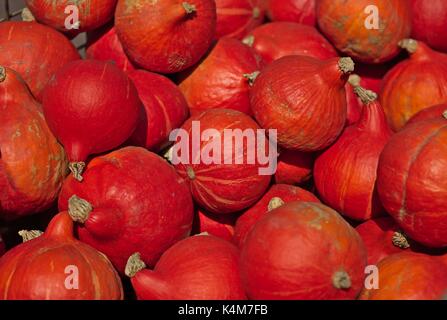 Nahaufnahme des Kürbis Stapel Stockfoto
