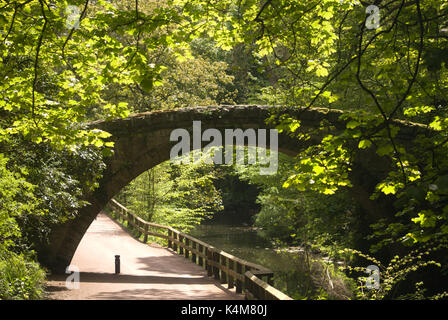 Jesmond Dene, Tyne und Wear Stockfoto