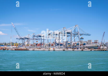 Auckland Hafen mit Containern, Kräne und Schiffe für den Transport für Einfuhren und Ausfuhren in Neuseeland, NZ Stockfoto