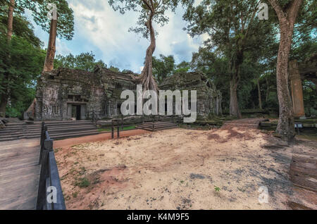 Ta Prohm Tempel in Baumwurzeln abgedeckt, Angkor Wat, Kambodscha Stockfoto