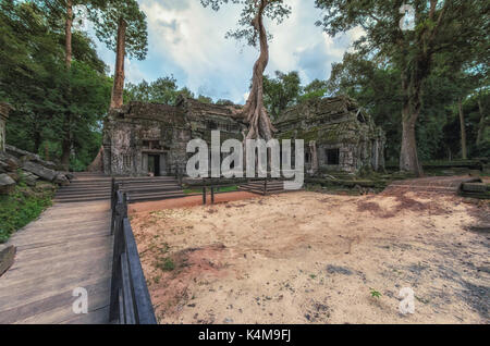 Ta Prohm Tempel in Baumwurzeln abgedeckt, Angkor Wat, Kambodscha Stockfoto