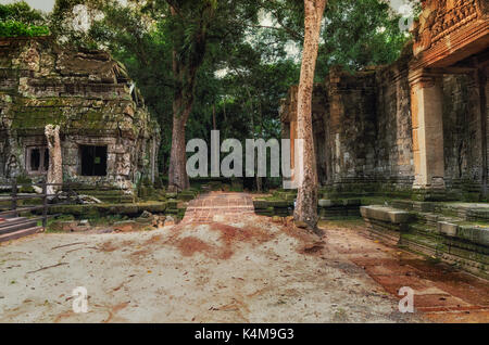 Ta Prohm Tempel in Baumwurzeln abgedeckt, Angkor Wat, Kambodscha Stockfoto