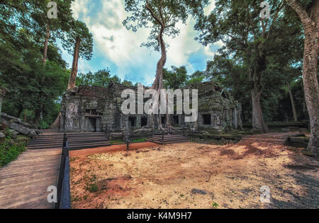 Ta Prohm Tempel in Baumwurzeln abgedeckt, Angkor Wat, Kambodscha Stockfoto