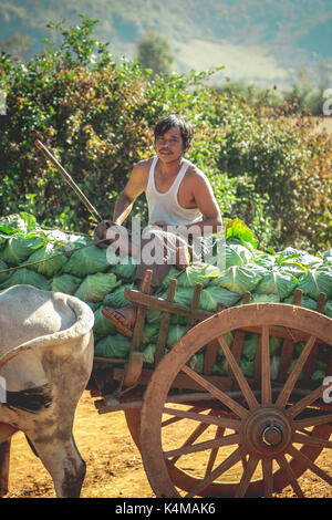 Shan Staat, Myanmar Dez. 26, 2013. Das wirkliche Leben in ländlichen Shan Staat, Myanmar, Birma. Stockfoto