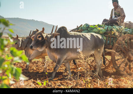 Shan Staat, Myanmar Dez. 26, 2013. Das wirkliche Leben in ländlichen Shan Staat, Myanmar, Birma. Stockfoto