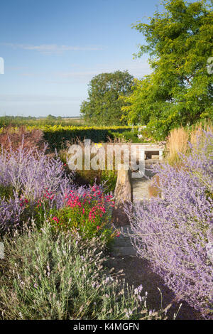 Brightwater Gärten, Saxby, Lincolnshire, Großbritannien. Sommer, August 2017. Stockfoto