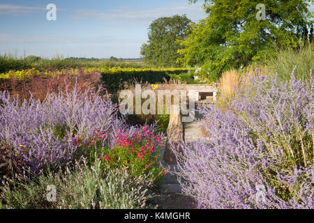 Brightwater Gärten, Saxby, Lincolnshire, Großbritannien. Sommer, August 2017. Stockfoto