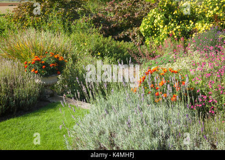 Brightwater Gärten, Saxby, Lincolnshire, Großbritannien. Sommer, August 2017. Stockfoto