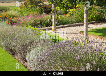 Brightwater Gärten, Saxby, Lincolnshire, Großbritannien. Sommer, August 2017. Stockfoto