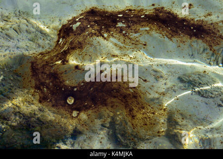 Nahaufnahme von teeröl Substanz schwimmt auf Wasser Oberfläche. Verschmutzten Strand. Stockfoto