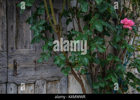 Landschaft der französischen Alpen. Stockfoto