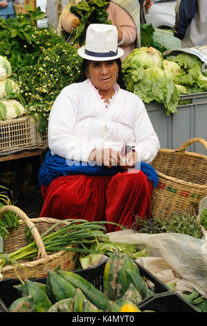 Ecuador, Gualaceo - 22. August: Ecuadorianischen ethnische Frauen in Nationale Kleidung Verkauf von landwirtschaftlichen Erzeugnissen und andere Lebensmittel auf einem Markt in der guala Stockfoto