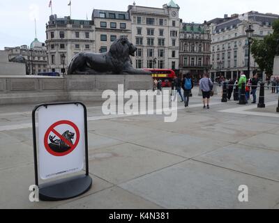 Ein Warnschild in Trafalgar Square berät nicht auf dem Löwen Skulpturen für die Gefahr von Abstürzen zu klettern. London, Großbritannien. Stockfoto