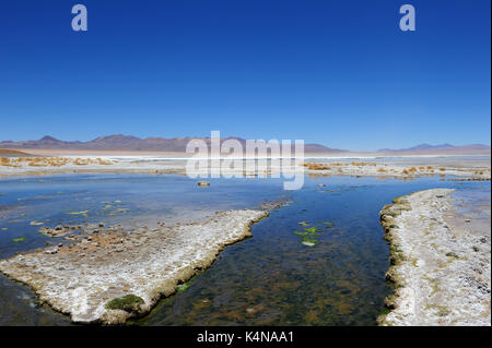 Termas de Polques Hot Springs, Reserva Nacional de Fauna Andina Eduardo Abaroa, südlichen Bolivien Stockfoto