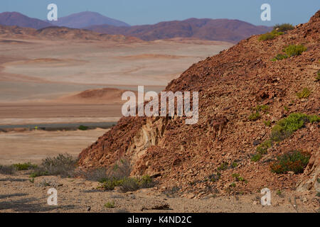 Trockene Landschaft entlang des Pan American Highway (Route 5), die durch die Atacama im Norden Chiles. Stockfoto