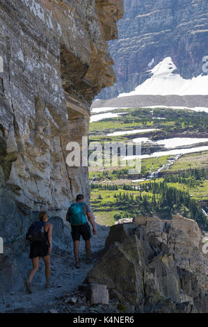 Wanderer auf der Highline Trail, Logan Pass, Glacier National Park, Montana Stockfoto