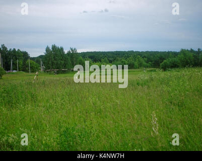 Fußball-Tor auf einem ländlichen Gebiet in Russland Oblast Tula Stockfoto