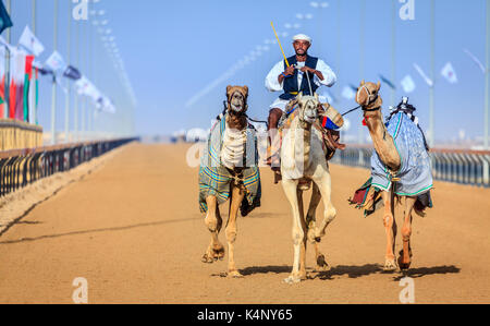 Dubai, Vereinigte Arabische Emirate - 25. März 2016: Üben für Kamelrennen in Dubai Camel Racing Club, Al Marmoom, VAE Stockfoto