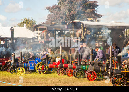 Zugmaschinen und mini Zugmaschinen auf Parade an der jährlichen Steam Fair und Kundgebung an Astle park Chelford in Cheshire Stockfoto