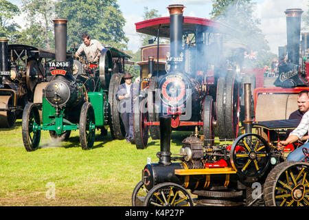 Zugmaschinen und mini Zugmaschinen auf Parade an der jährlichen Steam Fair und Kundgebung an Astle park Chelford in Cheshire Stockfoto