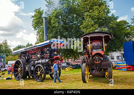 Vintage Lokomobile und Dampfwalze Kundgebung an Astle park Chelford in Cheshire Stockfoto