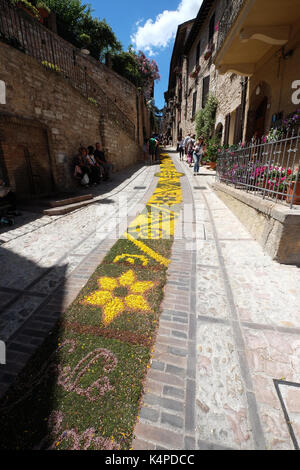 Infiorata Event stattfindenden anlässlich Fronleichnam in Spello, Umbrien, Italien Stockfoto