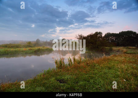 Misty Morning an einem Fluss. Fantastische Foggy River mit frischem grünem Gras im Sunrise. Dramatische bunte Landschaft. Dämmerung am Flussufer. Stockfoto