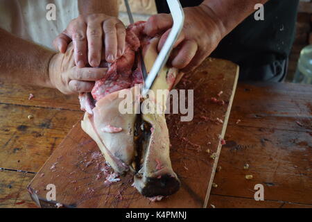 Männliche Hände sägen ein rohes Schweine Kopf in die Hälfte Stockfoto