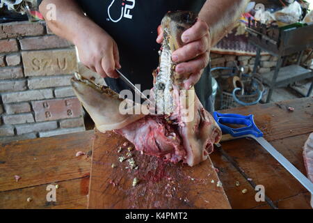 Männliche Hände sägen ein rohes Schweine Kopf in die Hälfte Stockfoto