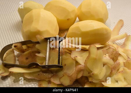 Kleine runde Kartoffeln vor einem weißen Hintergrund geschält Stockfoto