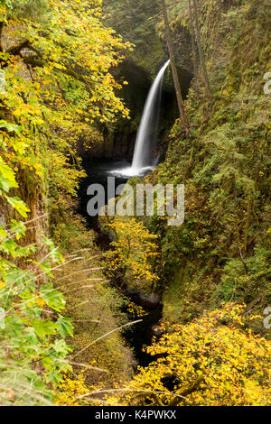 Metlako fällt, in der Columbia River Gorge National Scenic Area entfernt Stockfoto