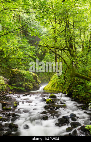 Bridal Veil Falls, in Columbia River Gorge National Scenic Area entfernt Stockfoto