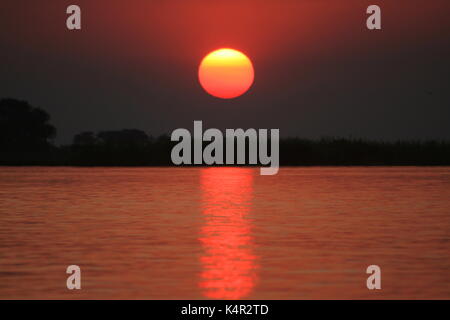 Sonnenuntergang von einem Fluss Safari im Chobe National Park, Botswana Stockfoto