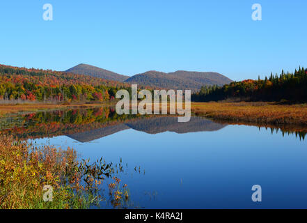 Kunjamuk Fluss Wasserstraße in den Adirondack Mountains im Herbst, Upstate New York, NY, USA Stockfoto