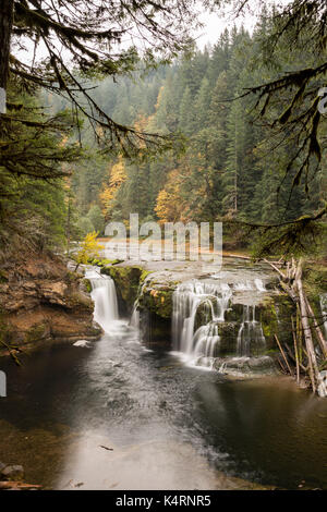 Untere Lewis, in der Gifford Pinchot National Forest, Washington State, USA Stockfoto