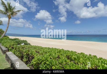 Schönen tropischen Sandstrand an der Nordküste von Oahu Hawaii Stockfoto