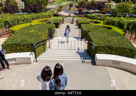 Touristen fotografieren am Eingang der Domaine Carneros Winery, Sonoma, CA, USA Stockfoto
