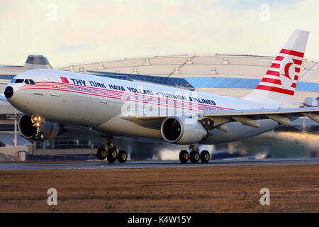 Vnukovo, Moskau, Russland - 27 Dezember, 2015: Turkish Airlines Airbus A 330-203 TC-Kreuzung in speziellen retro-Lackierung, die in Vnukovo intern Stockfoto