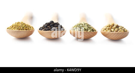 Löffel aus Holz mit Gewürzen gefüllt - Bockshornklee, schwarzer Pfeffer, Fenchel und Koriander Stockfoto
