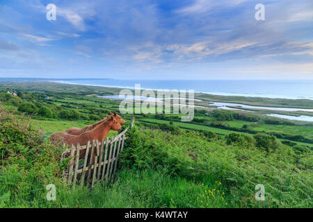 France, Manche (50), Cotentin, Cap de la Hague, Vauville, Réserve naturelle nationale de la Mare de Vauville // Frankreich, Manche, Cotentin Peninsula, ca. Stockfoto