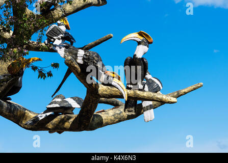 Mehr indische Hornbill, Symbol der Hornbill Festival, Kohima, Nagaland, Indien Stockfoto