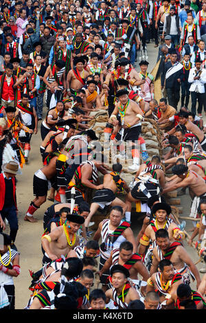 Stein ziehen Zeremonie, während Kisima Nagaland Hornbill Festival, Kohima, Nagaland, Indien Stockfoto