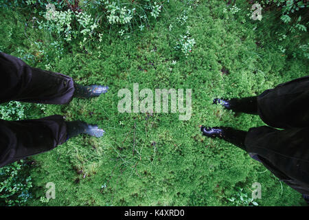 Männliche und weibliche Füße in Gummistiefel in dicken Moss Stockfoto